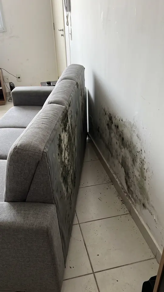 Sofá cinza encostado numa parede com mofo escuro atrás do encosto (imagem ilustrativa gerada por IA)