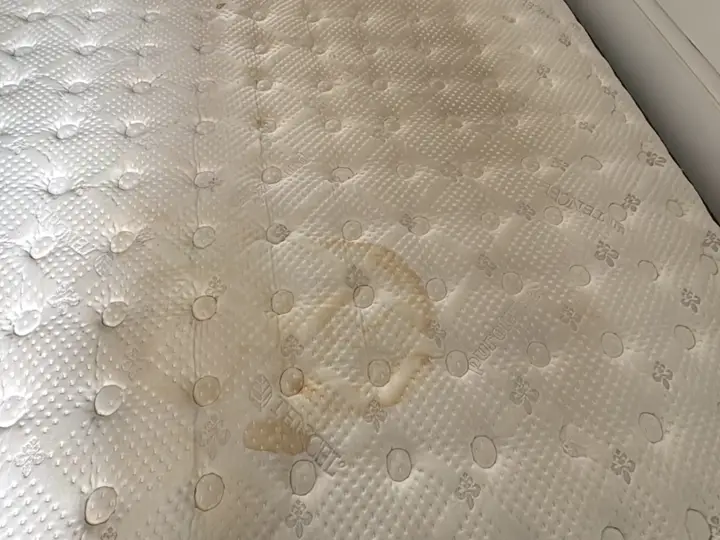Limpeza a seco na sua casa, antes: Jardim Atlântico