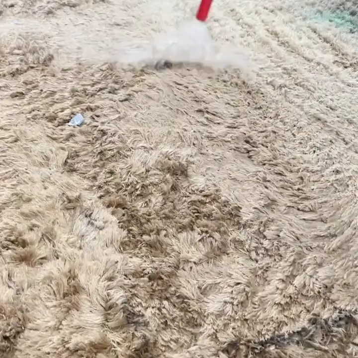 Escova rotativa espalhando espuma num tapete shaggy bege
